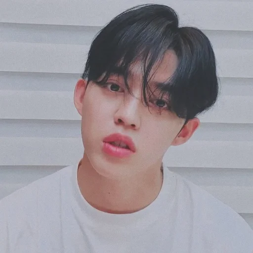 🕳 Стикер «s coups seventeen» для Telegram