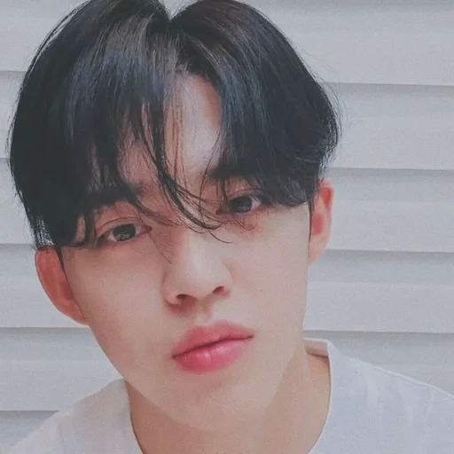🕳 Стикер «s coups seventeen» для Telegram