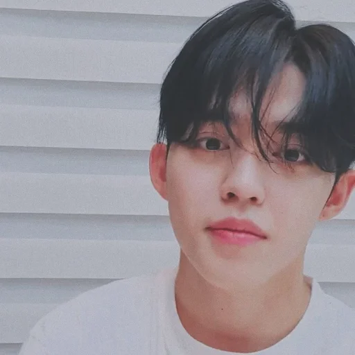 🕳 Стикер «s coups seventeen» для Telegram