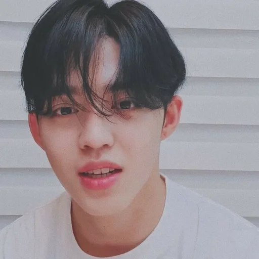 🕳 Стикер «s coups seventeen» для Telegram