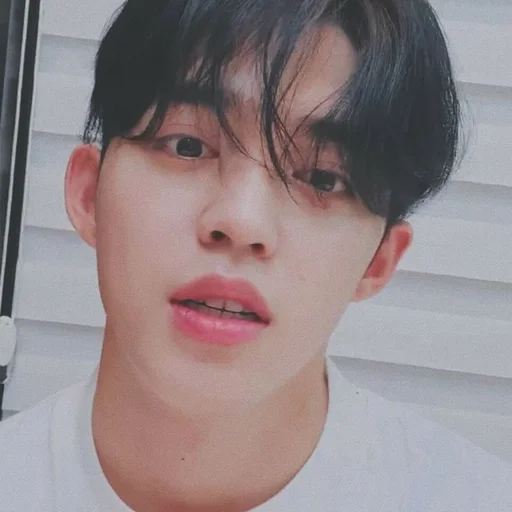 🕳 Стикер «s coups seventeen» для Telegram