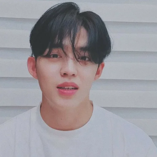 🕳 Стикер «s coups seventeen» для Telegram