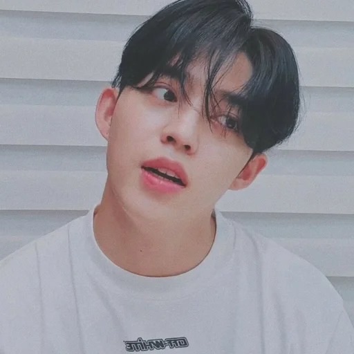 🕳 Стикер «s coups seventeen» для Telegram
