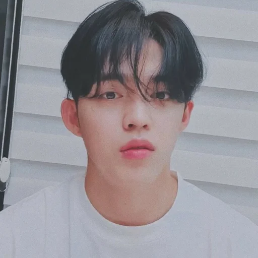 🕳 Стикер «s coups seventeen» для Telegram