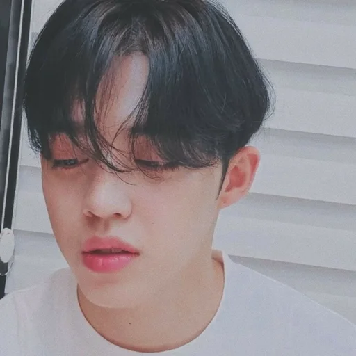🕳 Стикер «s coups seventeen» для Telegram