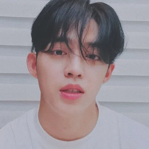 🕳 Стикер «s coups seventeen» для Telegram