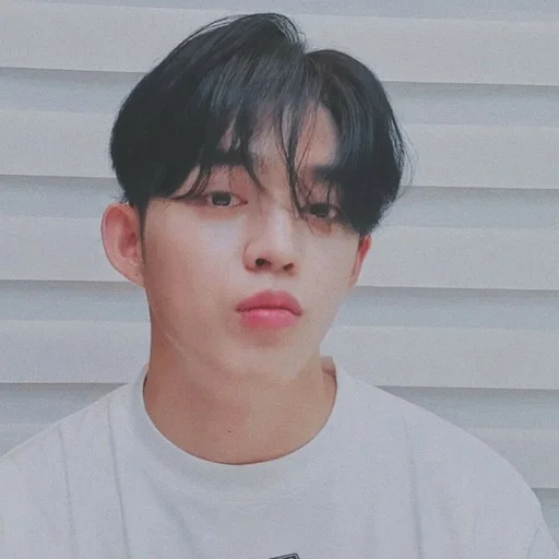 🕳 Стикер «s coups seventeen» для Telegram
