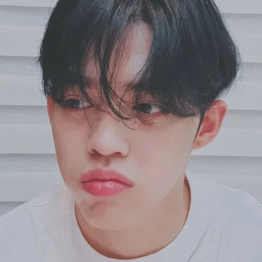 🕳 Стикер «s coups seventeen» для Telegram