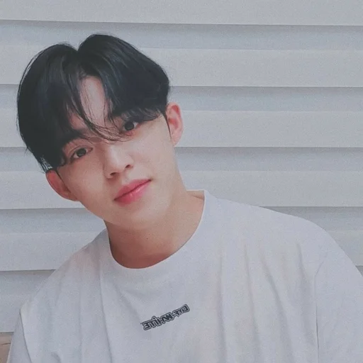 🕳 Стикер «s coups seventeen» для Telegram