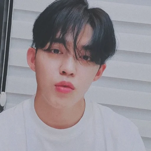 🕳 Стикер «s coups seventeen» для Telegram