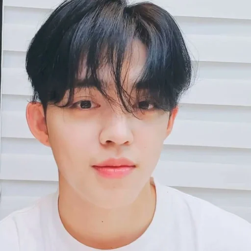 🕳 Стикер «s coups seventeen» для Telegram