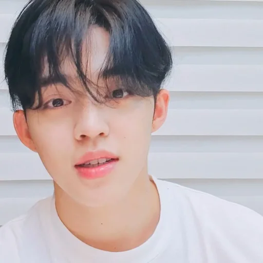 🕳 Стикер «s coups seventeen» для Telegram