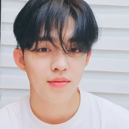 🕳 Стикер «s coups seventeen» для Telegram