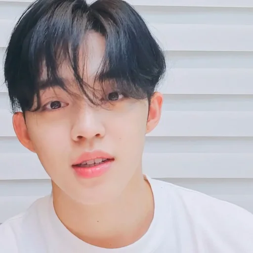 🕳 Стикер «s coups seventeen» для Telegram
