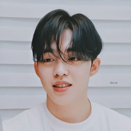 🕳 Стикер «s coups seventeen» для Telegram