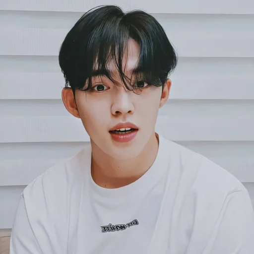🕳 Стикер «s coups seventeen» для Telegram