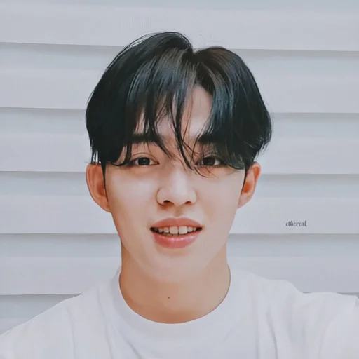 🕳 Стикер «s coups seventeen» для Telegram