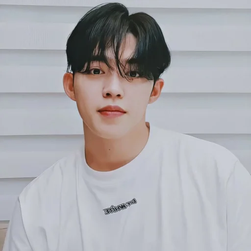 🕳 Стикер «s coups seventeen» для Telegram
