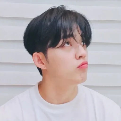 🕳 Стикер «s coups seventeen» для Telegram