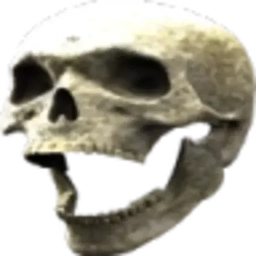 Стикерпак Skulls для Telegram — скачать