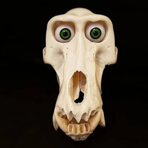 💀 Стикер «Skulls» для Telegram