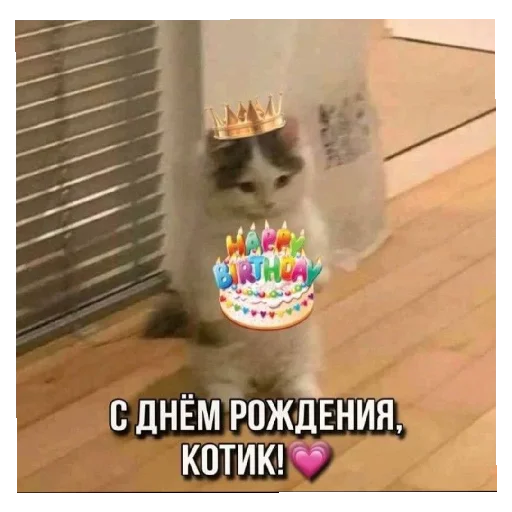 ✨ Стикер «С днём рождения Happy Birthday» для Telegram