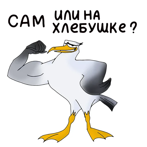 💪 Стикер «Чайка JEFF» для Telegram