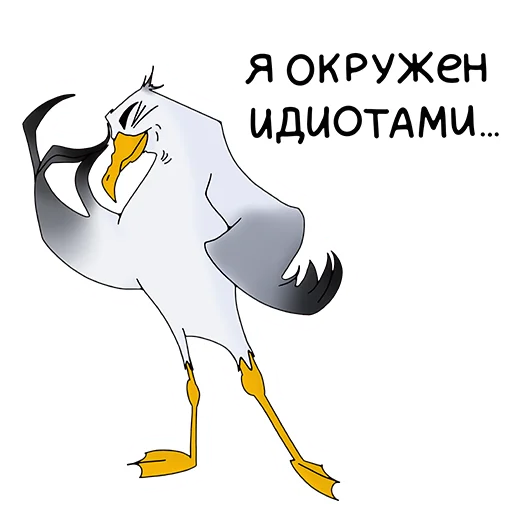 🤦‍♀️ Стикер «Чайка JEFF» для Telegram
