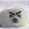 🦭 Эмодзи «Тюлени» для Telegram