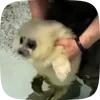 Стикер 22 Seal