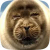 Стикер 28 Seal