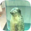 Стикер 7 Seal