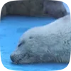 Стикер 14 Seal