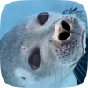 Стикер 2 Seal