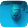 Стикер 27 Seal