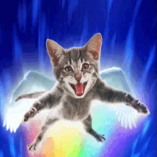 🐈 Стикер «seals 2» для Telegram