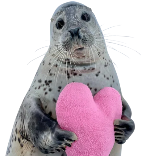 💖 Стикер «seals4life» для Telegram