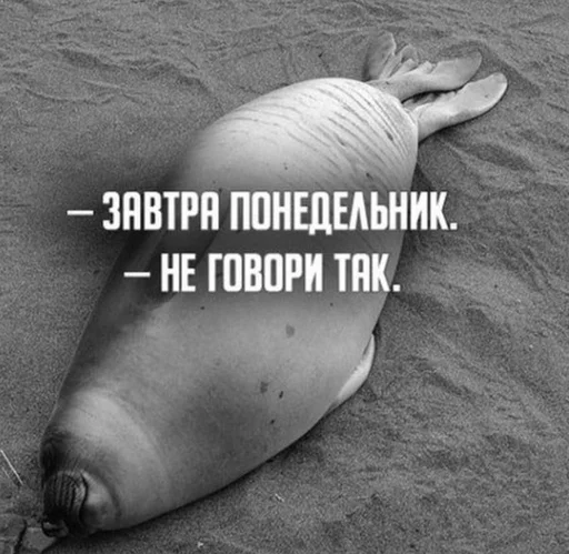 😭 Стикер «seals4life» для Telegram