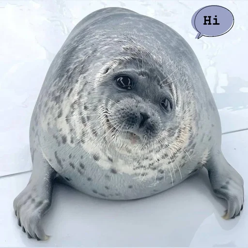 👋 Стикер «seals4life» для Telegram