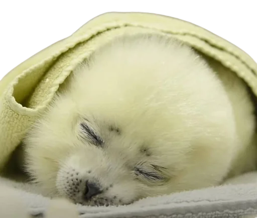 😴 Стикер «seals4life» для Telegram