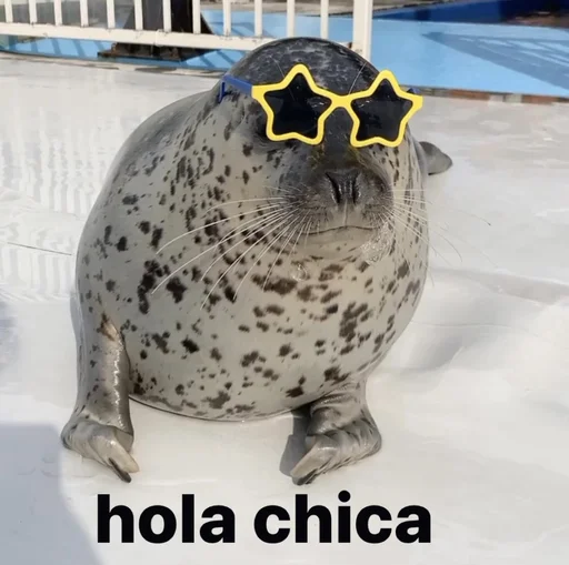 👋 Стикер «seals4life» для Telegram