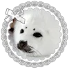 🤩 Эмодзи «SEALS font» для Telegram