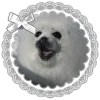 🤩 Эмодзи «SEALS font» для Telegram