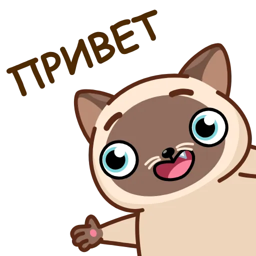 Стикерпак Сиамский кот для Telegram