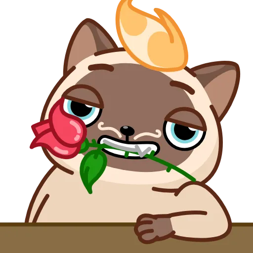 🌹 Стикер «Сиамский кот» для Telegram