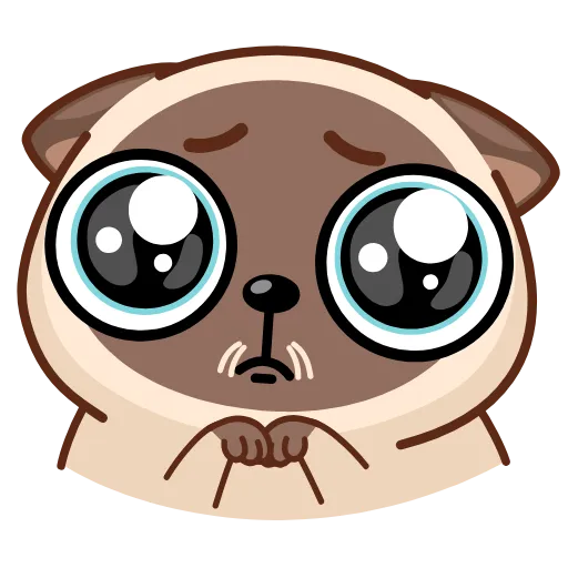 🥺 Стикер «Сиамский кот» для Telegram