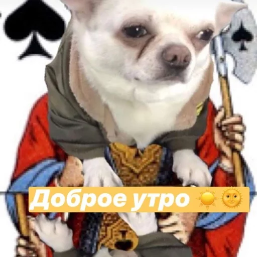 ♠️ Стикер «Себек» для Telegram