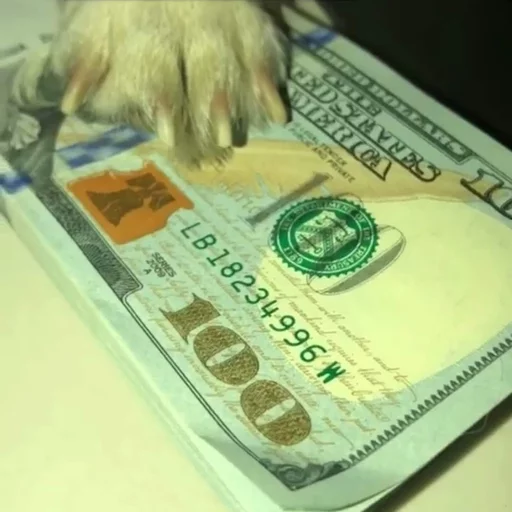 💲 Стикер «Себек» для Telegram