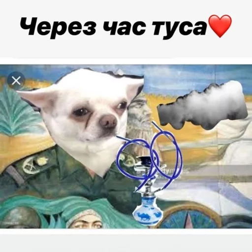 👯 Стикер «Себек» для Telegram