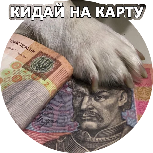 🌚 Стикер «SebekBandit» для Telegram